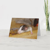 Cute Rat Kaart (Voorkant)