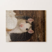 Cute Rat Legpuzzel (Horizontaal)