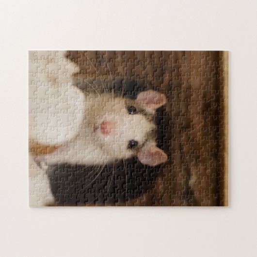 Cute Rat Legpuzzel (Horizontaal)