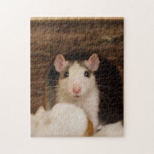 Cute Rat Legpuzzel