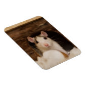 Cute Rat Magneet (Rechterzijde)