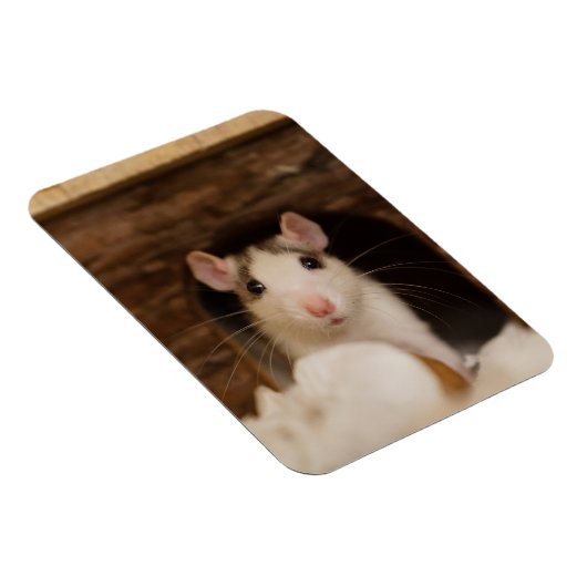 Cute Rat Magneet (Rechterzijde)