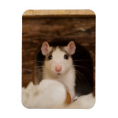 Cute Rat Magneet (Verticaal)