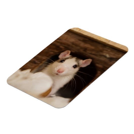 Cute Rat Magneet (Linkerzijde)