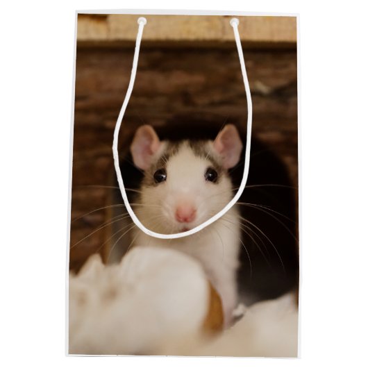 Cute Rat Medium Cadeauzakje (Achterkant)