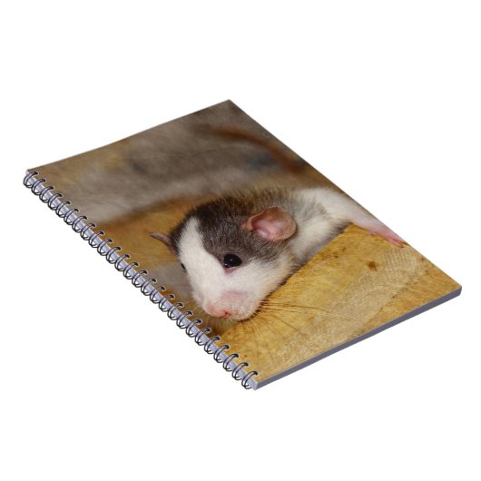 Cute Rat Notitieboek (Rechterzijde)