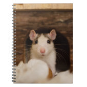 Cute Rat Notitieboek (Voorkant)