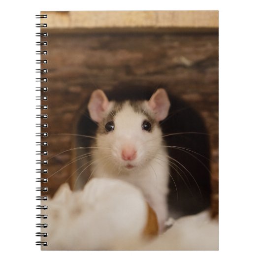 Cute Rat Notitieboek (Voorkant)