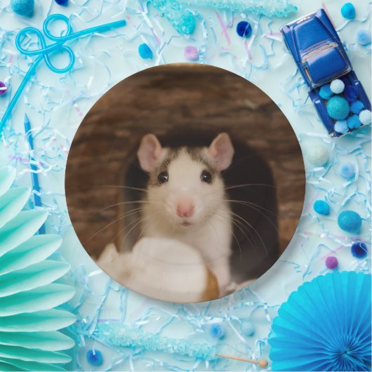 Cute Rat Papieren Bordje (Feest)