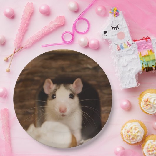 Cute Rat Papieren Bordje (Feest)