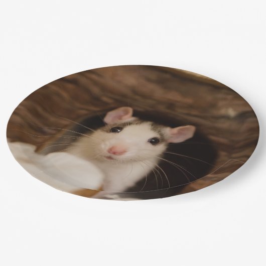 Cute Rat Papieren Bordje (Gekanteld)