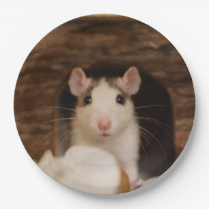 Cute Rat Papieren Bordje
