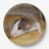 Cute Rat Papieren Bordje (Voorkant)