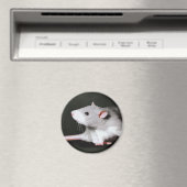 Cute Rat schilderij Magneet (Insitu (Vaatwasser))