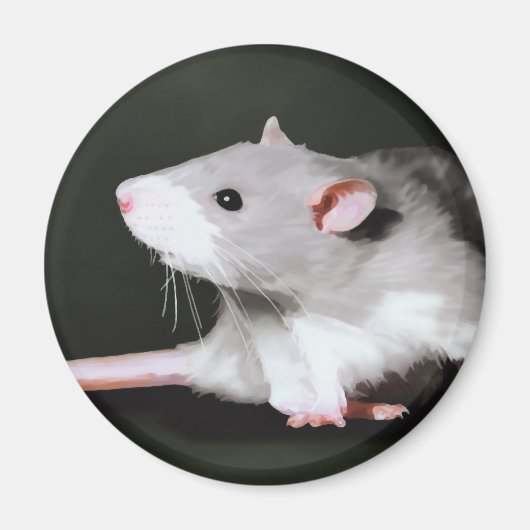 Cute Rat schilderij Magneet (Voorkant)