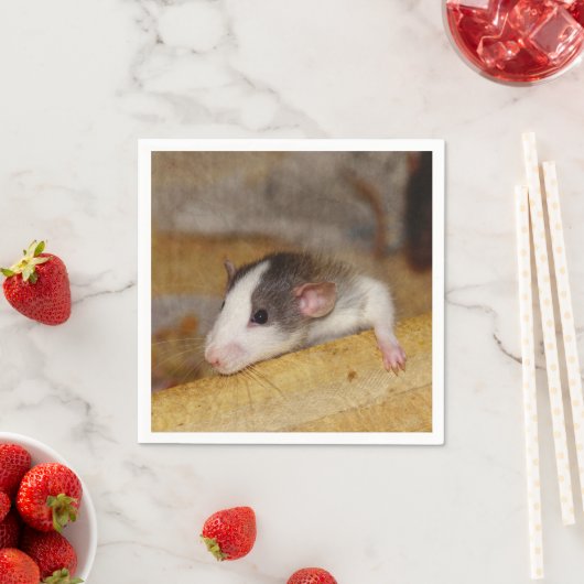 Cute Rat Servet (Insitu)