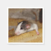 Cute Rat Servet (Voorkant)