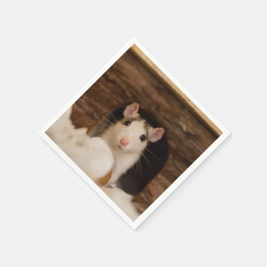 Cute Rat Servet (Hoek)