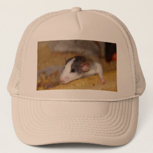 Cute Rat Trucker Pet