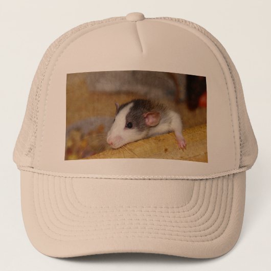 Cute Rat Trucker Pet (Voorkant)