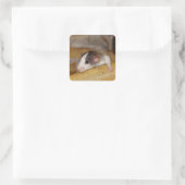 Cute Rat Vierkante Sticker (Tas)