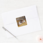 Cute Rat Vierkante Sticker (Envelop)