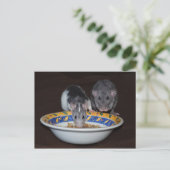 Cute Rats Eating Briefkaart (Staand voorkant)