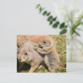 Cute Realistic Groundhog Family Photo Briefkaart (Staand voorkant)