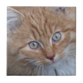 Cute Red and White, Long-Haire Tabby Cat Face Tegeltje (Voorkant)