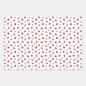 Cute Red Black Ladybugs Happy Birthday Kinderen Inpakpapier Vel (Voorkant 2)