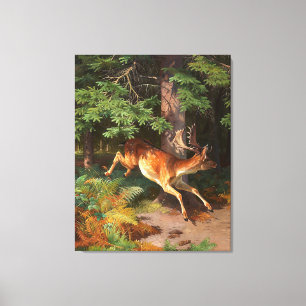Cute Red Deer in het bos Canvas Afdruk