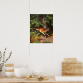 Cute Red Deer in het bos Poster (Keuken)