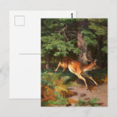 Cute Red Deer in het Briefkaart van het bos (Voorkant / Achterkant)