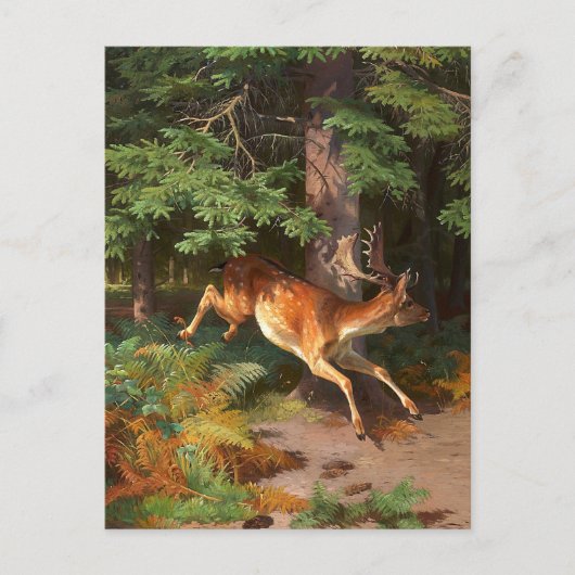Cute Red Deer in het Briefkaart van het bos (Voorkant)