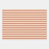 Cute  Red en White Striped Pattern Inpakpapier Vel (Voorkant 2)