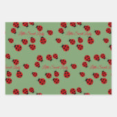 Cute Red en zwarte Ladybugs | Waterverf bloemen Inpakpapier Vel (Voorkant 3)