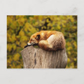 Cute Red Fox die rust op de boomstam Briefkaart (Voorkant)