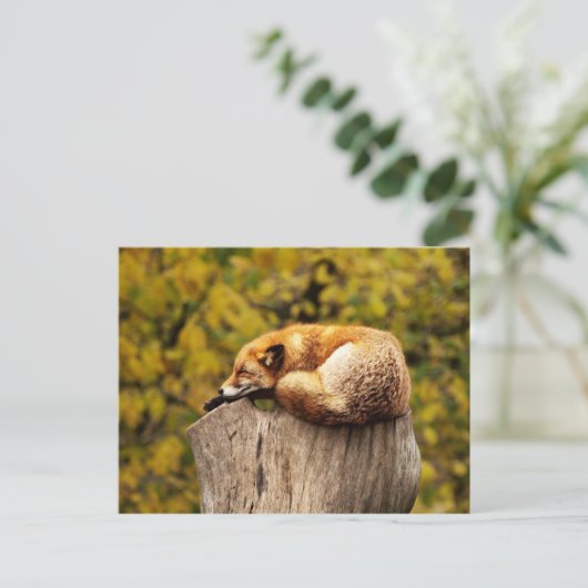 Cute Red Fox die rust op de boomstam Briefkaart (Staand voorkant)