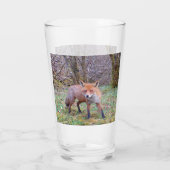 Cute Red Fox Glas (Achterkant)