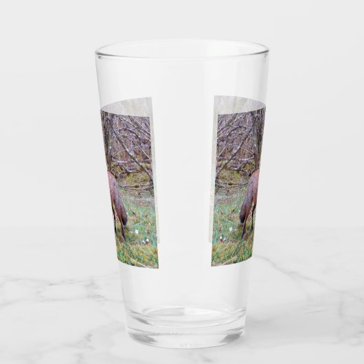 Cute Red Fox Glas (Links)