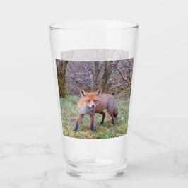 Cute Red Fox Glas