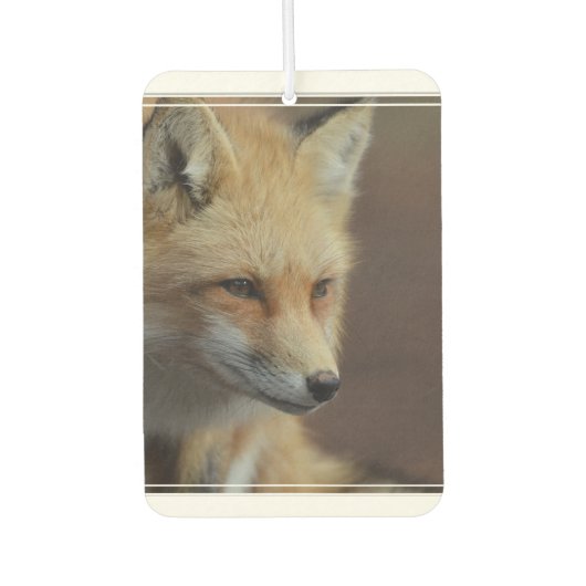 Cute Red Fox Luchtverfrisser (Voorkant)