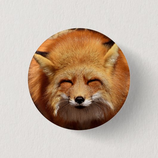 Cute Red Fox met Funny Squinting Eyes Ronde Button 3,2 Cm (Voorkant)