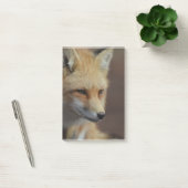 Cute Red Fox Post-it® Notes (Kantoor)