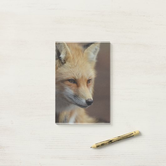 Cute Red Fox Post-it® Notes (Op bureau)