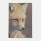 Cute Red Fox Post-it® Notes (Voorkant)