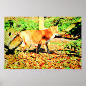 Cute Red Fox Waterverf Schilder Wildlife Art Poster (Voorkant)