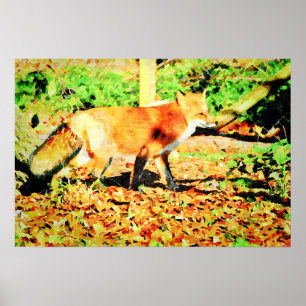 Cute Red Fox Waterverf Schilder Wildlife Art Poster