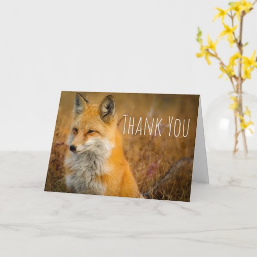 Cute Red Fox wilde Natuur Fotografie Dank u Kaart (Gele Bloem)
