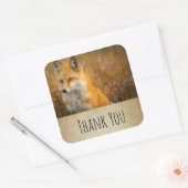 Cute Red Fox wilde Natuur Fotografie Dank u Vierkante Sticker (Envelop)